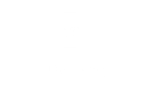 Discovery